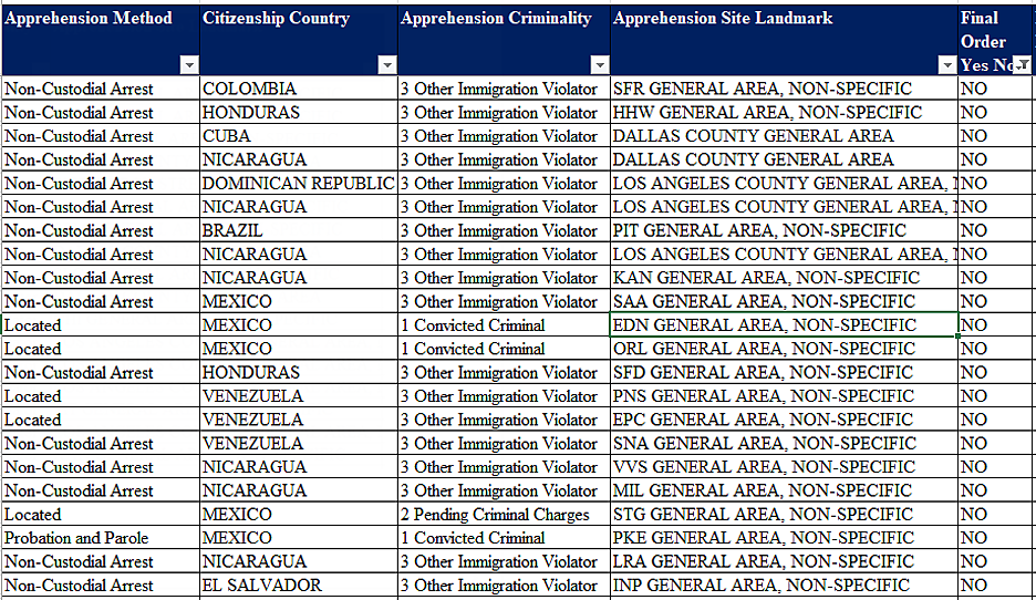 ICE arrests spreadsheet showing nonspecific arrests